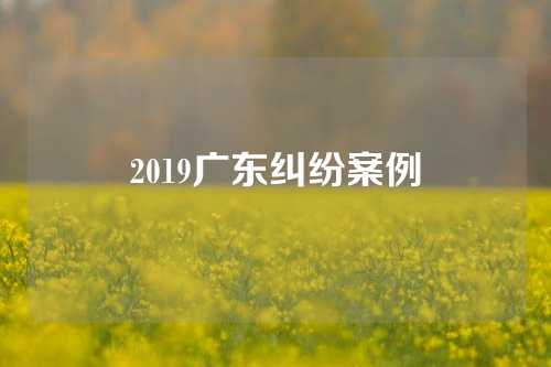 2019广东纠纷案例